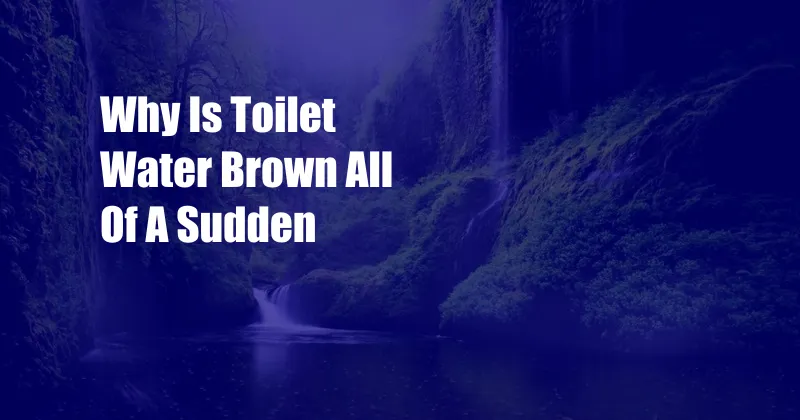 Why Is Toilet Water Brown All Of A Sudden