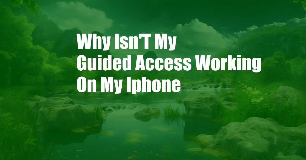 Why Isn'T My Guided Access Working On My Iphone