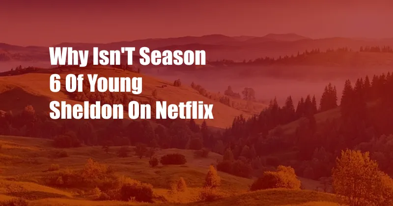 Why Isn'T Season 6 Of Young Sheldon On Netflix