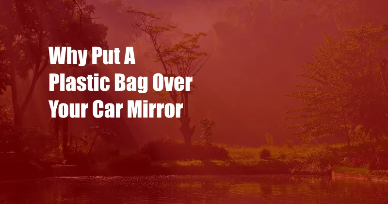 Why Put A Plastic Bag Over Your Car Mirror