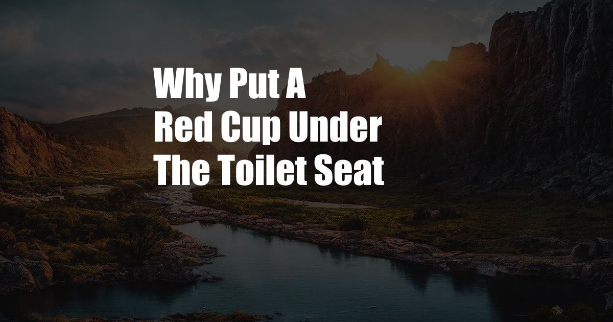 Why Put A Red Cup Under The Toilet Seat
