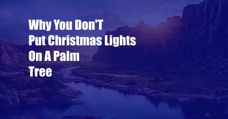 Why You Don'T Put Christmas Lights On A Palm Tree