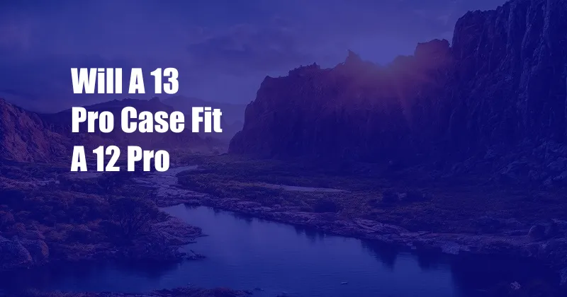 Will A 13 Pro Case Fit A 12 Pro