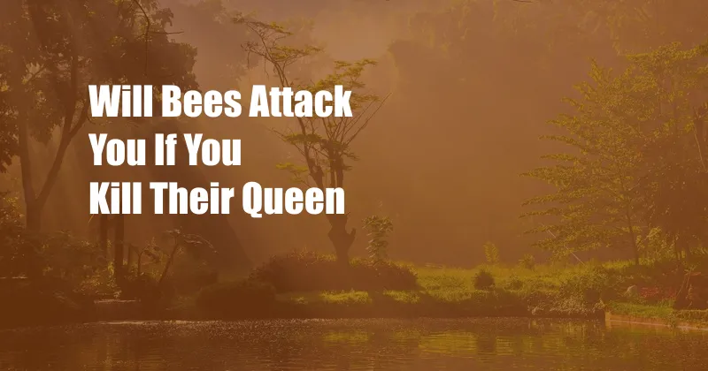 Will Bees Attack You If You Kill Their Queen