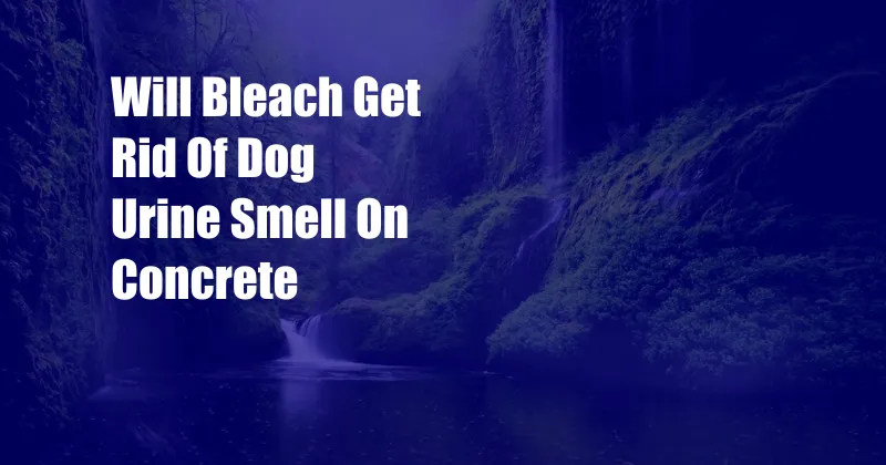 Will Bleach Get Rid Of Dog Urine Smell On Concrete