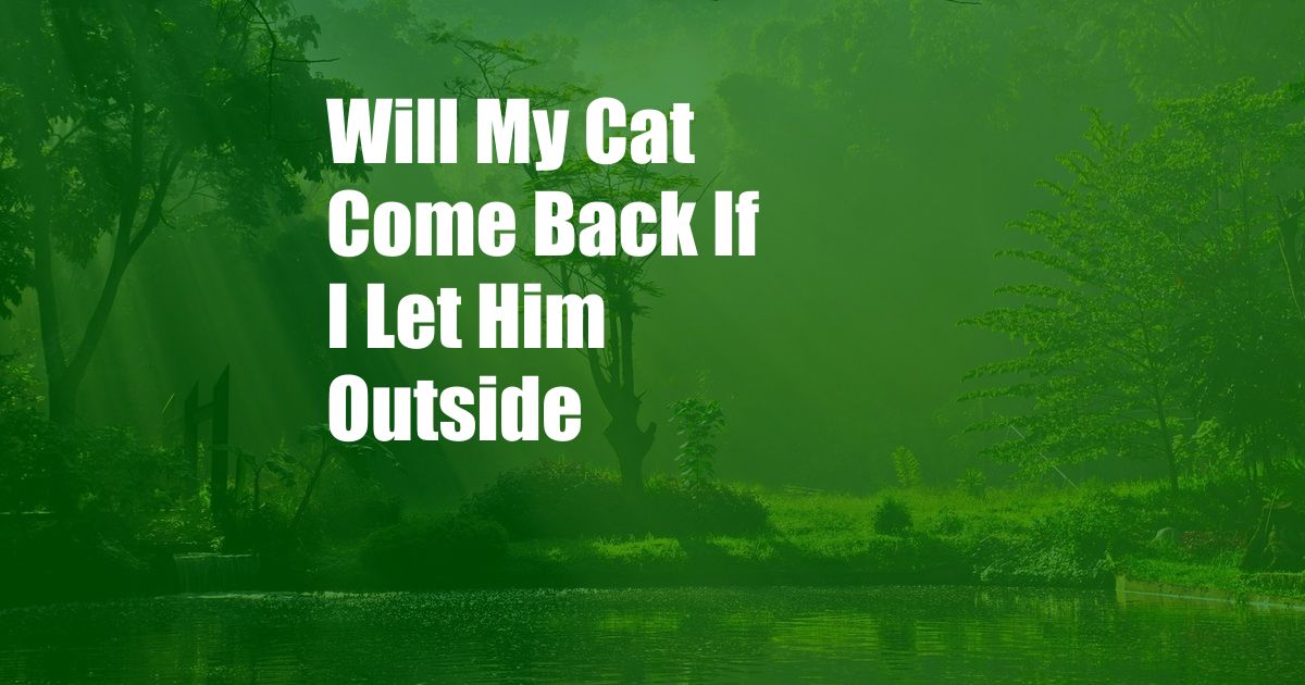 Will My Cat Come Back If I Let Him Outside