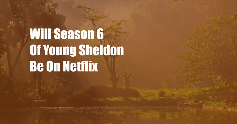 Will Season 6 Of Young Sheldon Be On Netflix