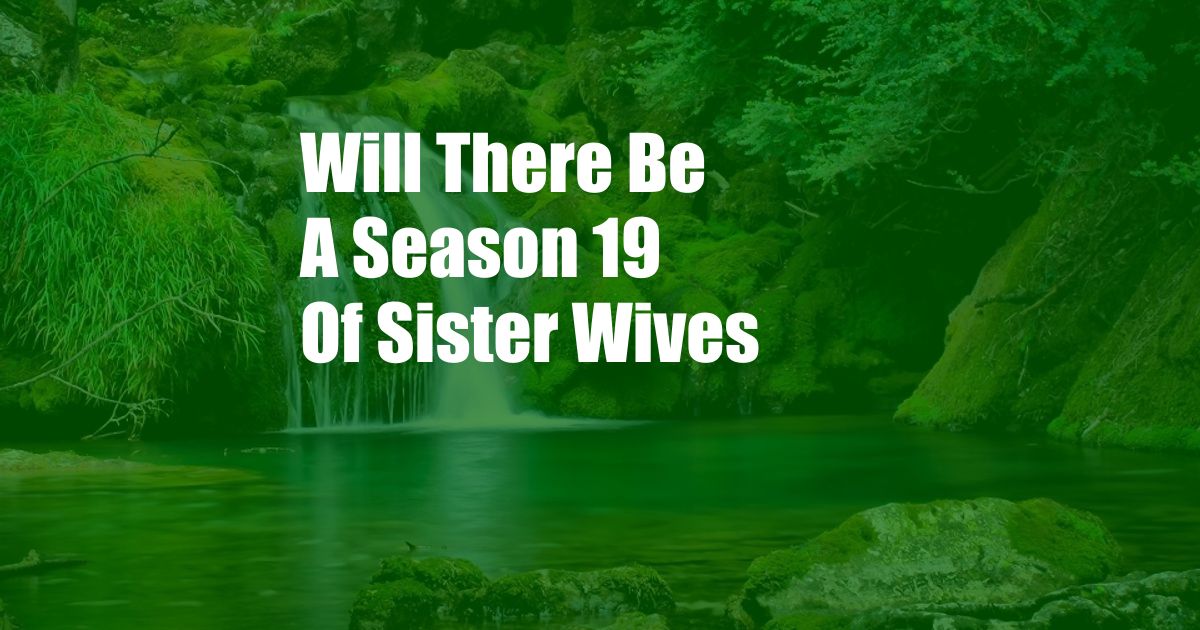 Will There Be A Season 19 Of Sister Wives