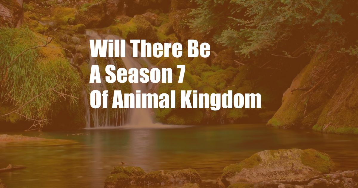 Will There Be A Season 7 Of Animal Kingdom