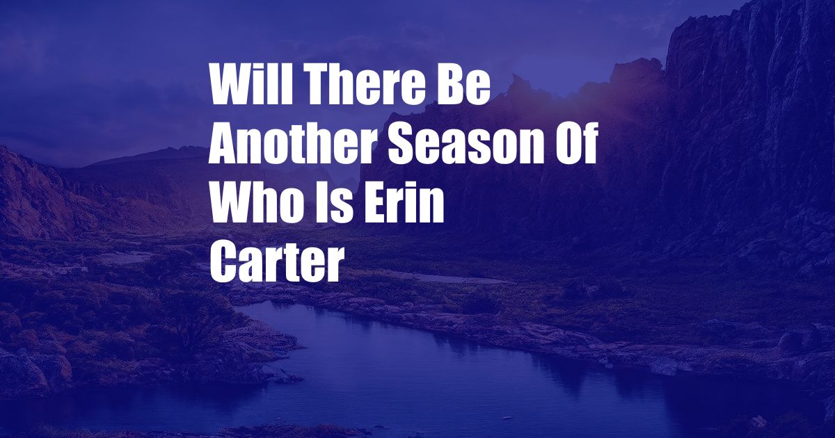 Will There Be Another Season Of Who Is Erin Carter