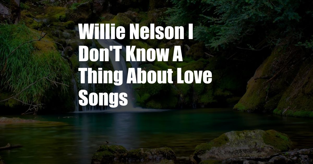 Willie Nelson I Don'T Know A Thing About Love Songs