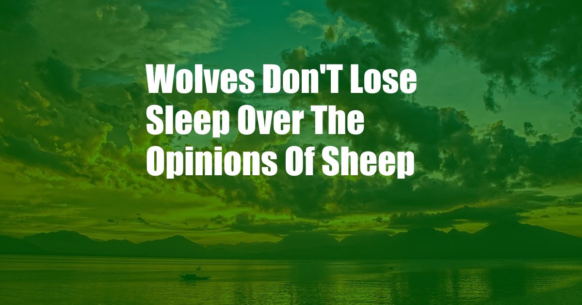 Wolves Don'T Lose Sleep Over The Opinions Of Sheep