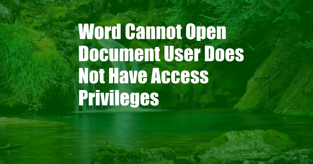 Word Cannot Open Document User Does Not Have Access Privileges