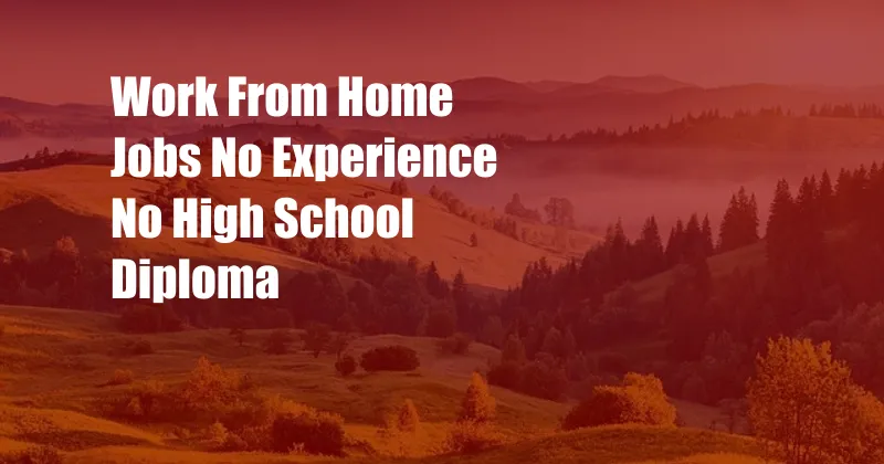 Work From Home Jobs No Experience No High School Diploma