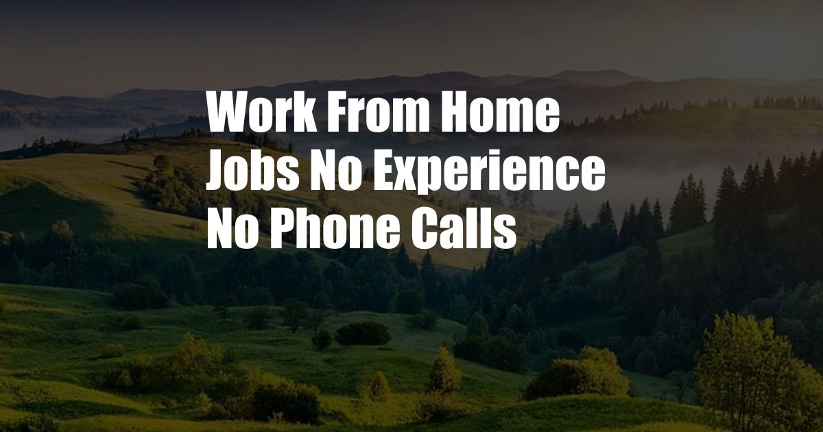 Work From Home Jobs No Experience No Phone Calls