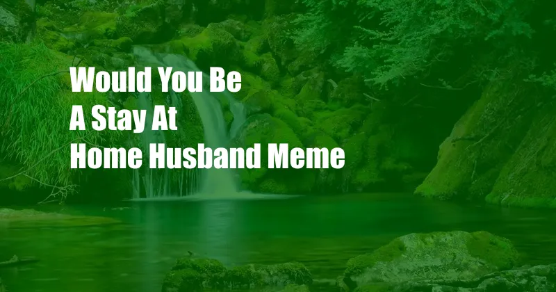 Would You Be A Stay At Home Husband Meme