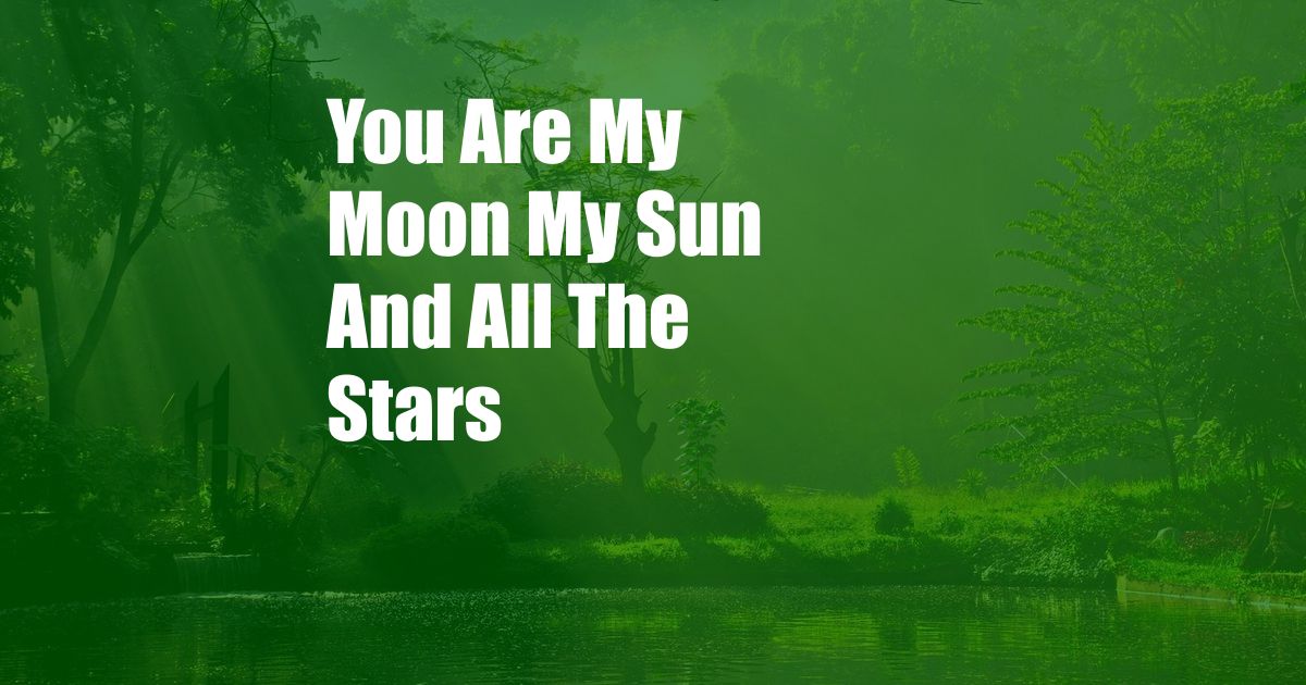 You Are My Moon My Sun And All The Stars