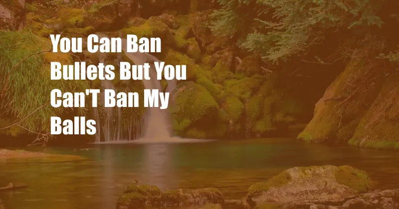 You Can Ban Bullets But You Can'T Ban My Balls