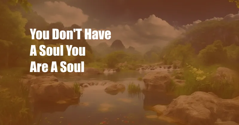 You Don'T Have A Soul You Are A Soul