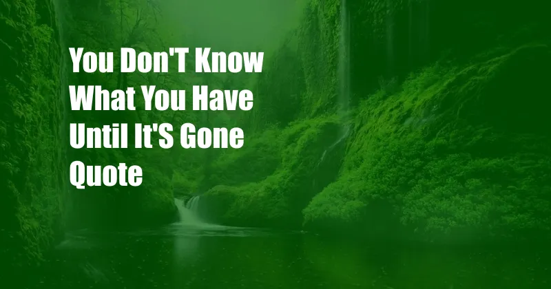 You Don'T Know What You Have Until It'S Gone Quote