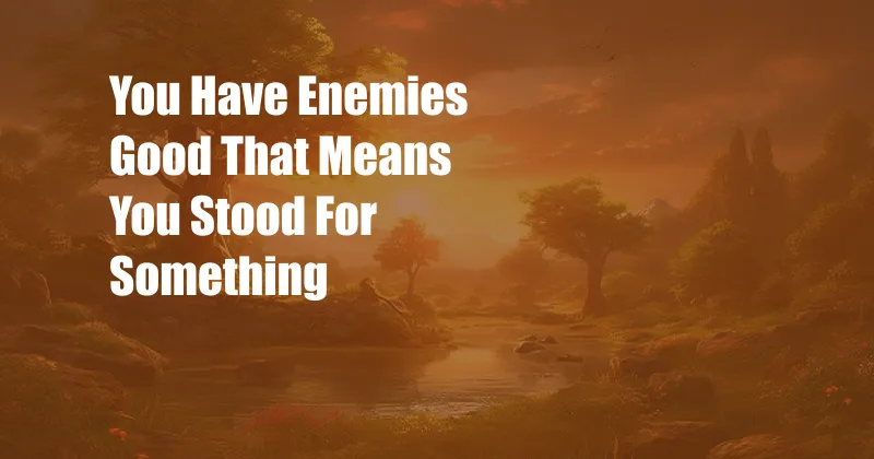 You Have Enemies Good That Means You Stood For Something