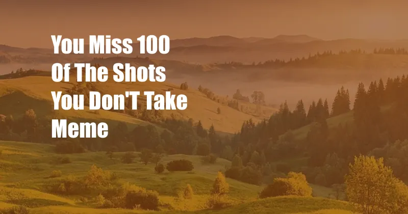You Miss 100 Of The Shots You Don'T Take Meme