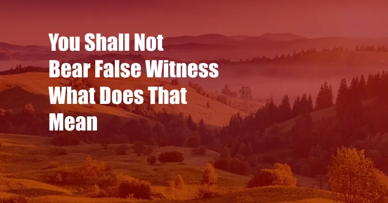 You Shall Not Bear False Witness What Does That Mean