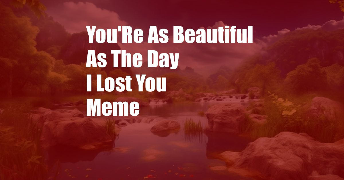 You'Re As Beautiful As The Day I Lost You Meme