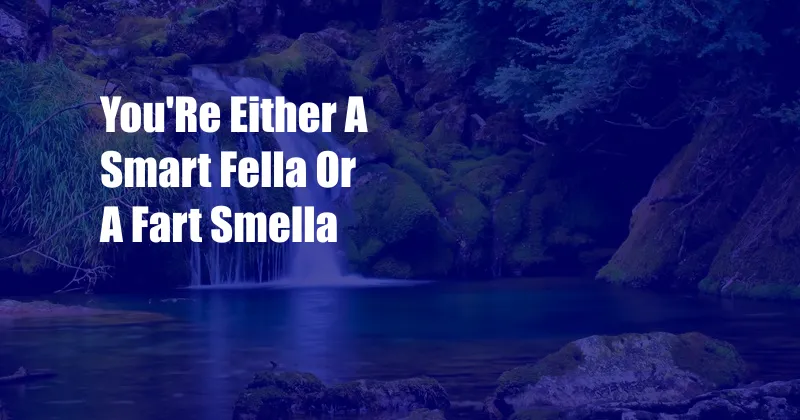 You'Re Either A Smart Fella Or A Fart Smella