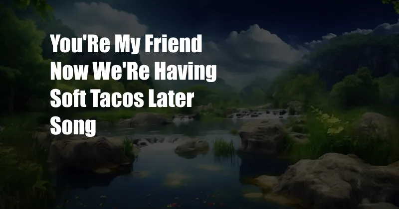 You'Re My Friend Now We'Re Having Soft Tacos Later Song