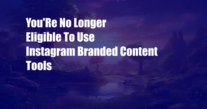 You'Re No Longer Eligible To Use Instagram Branded Content Tools