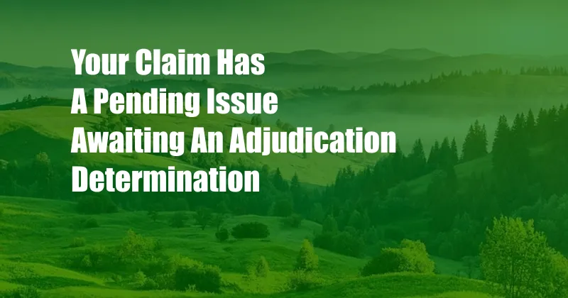 Your Claim Has A Pending Issue Awaiting An Adjudication Determination