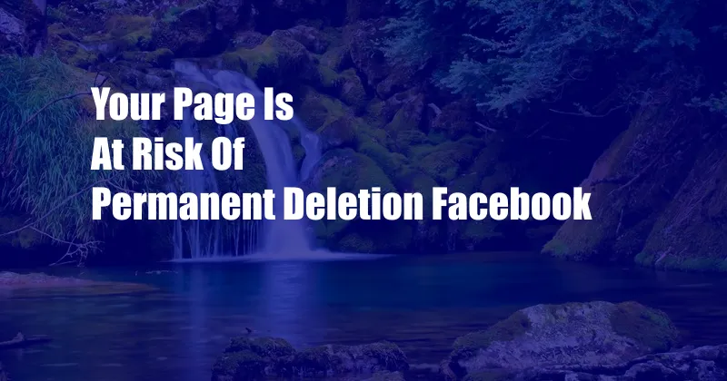 Your Page Is At Risk Of Permanent Deletion Facebook