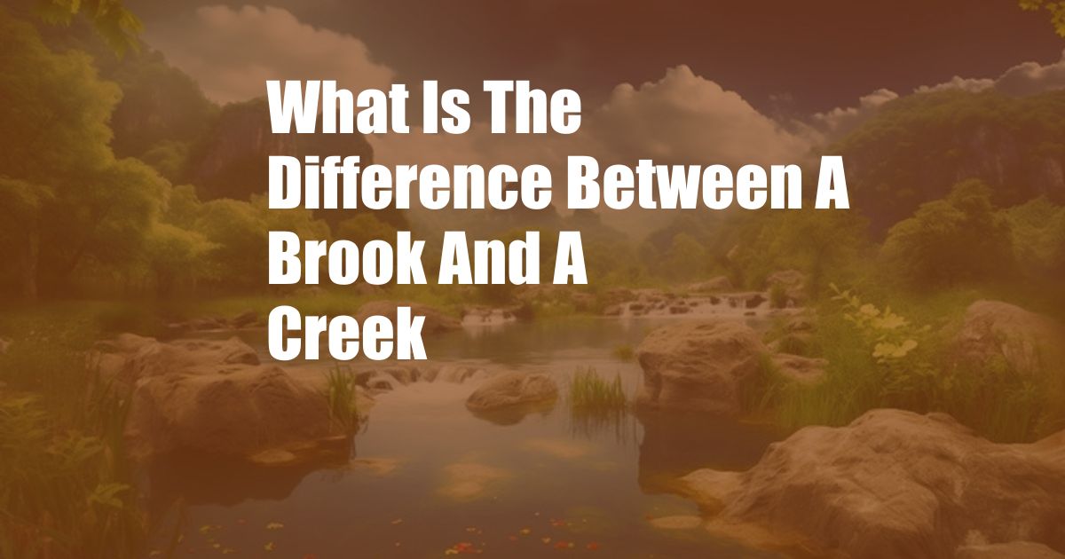 ﻿What Is The Difference Between A Brook And A Creek